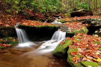 AUTUMN
